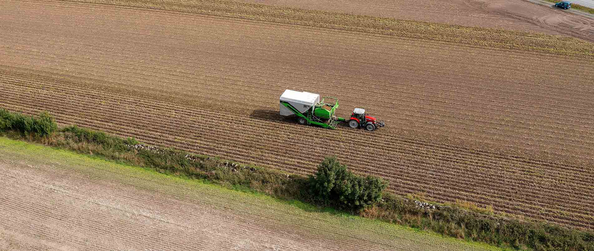 “探、收、烘、运”，看j9官网如何四管齐下一站式保障秋收果实