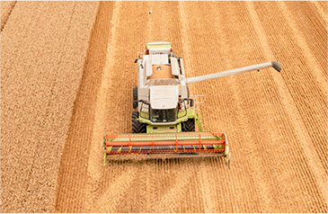 收——加大收割自动化力度，利用智能收获系统，保种保收，提产提质