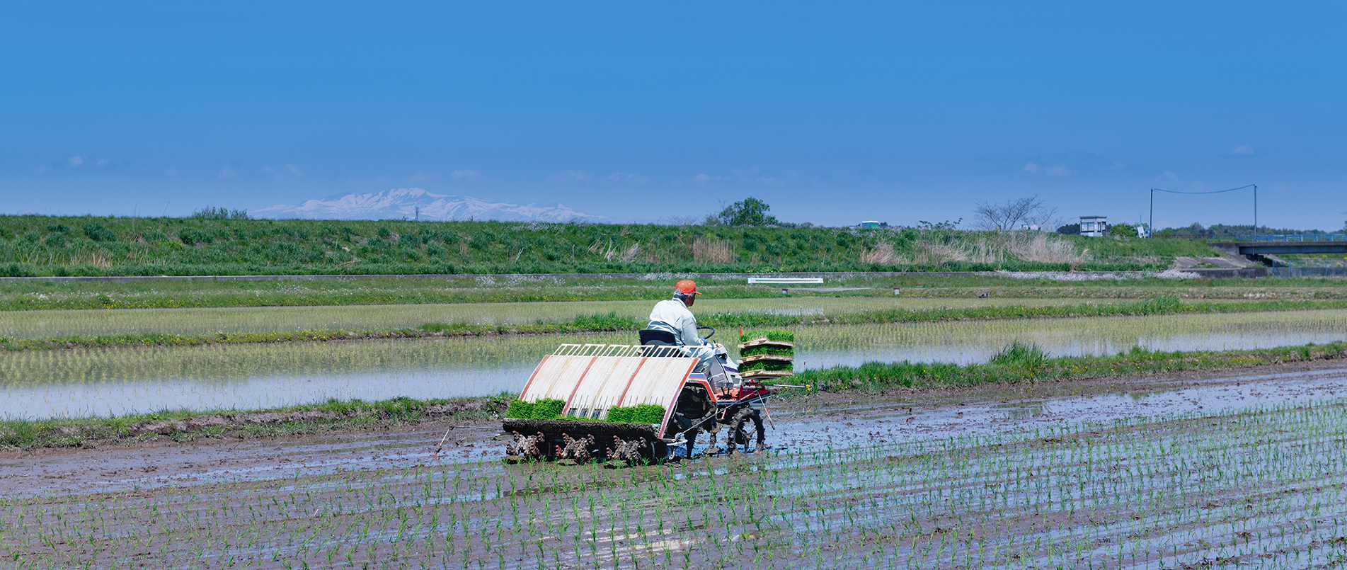 农机水田作业的“智慧大脑”——沃地泰FMA210，告别“经验种植”，开启精准高效农业之旅